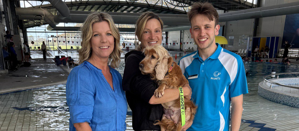 BayFit Donates $9,600 to Support All 4 Paws Rescue cover